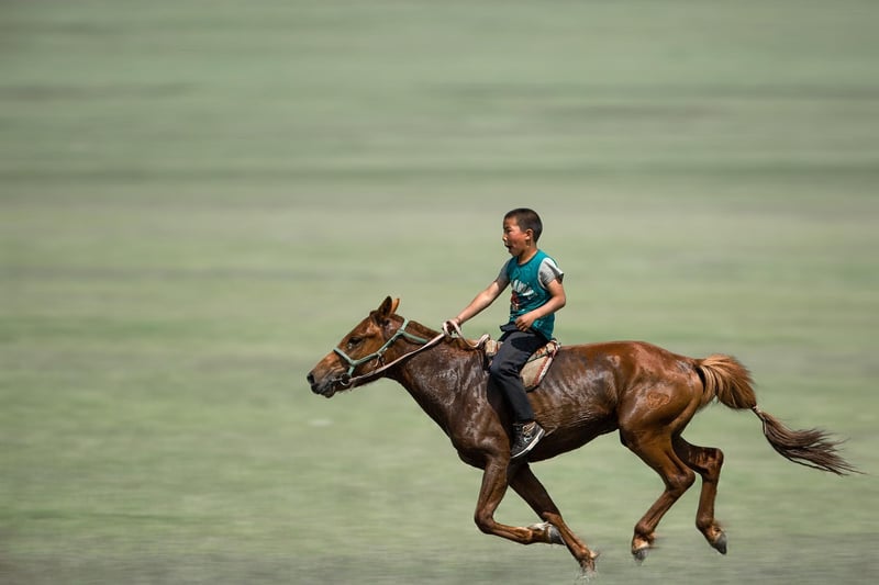 Cowboy Riding Horse
